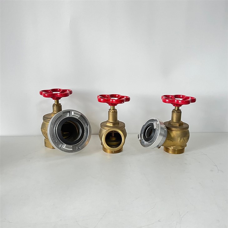 Landing Valve